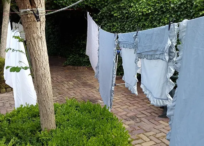 B&B Bed En Brood De Veenhoeve