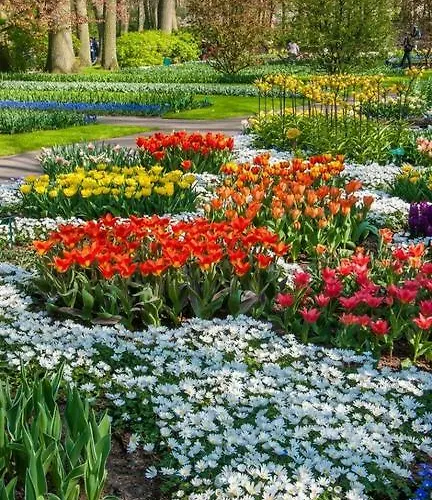 Bed En Brood De Veenhoeve *